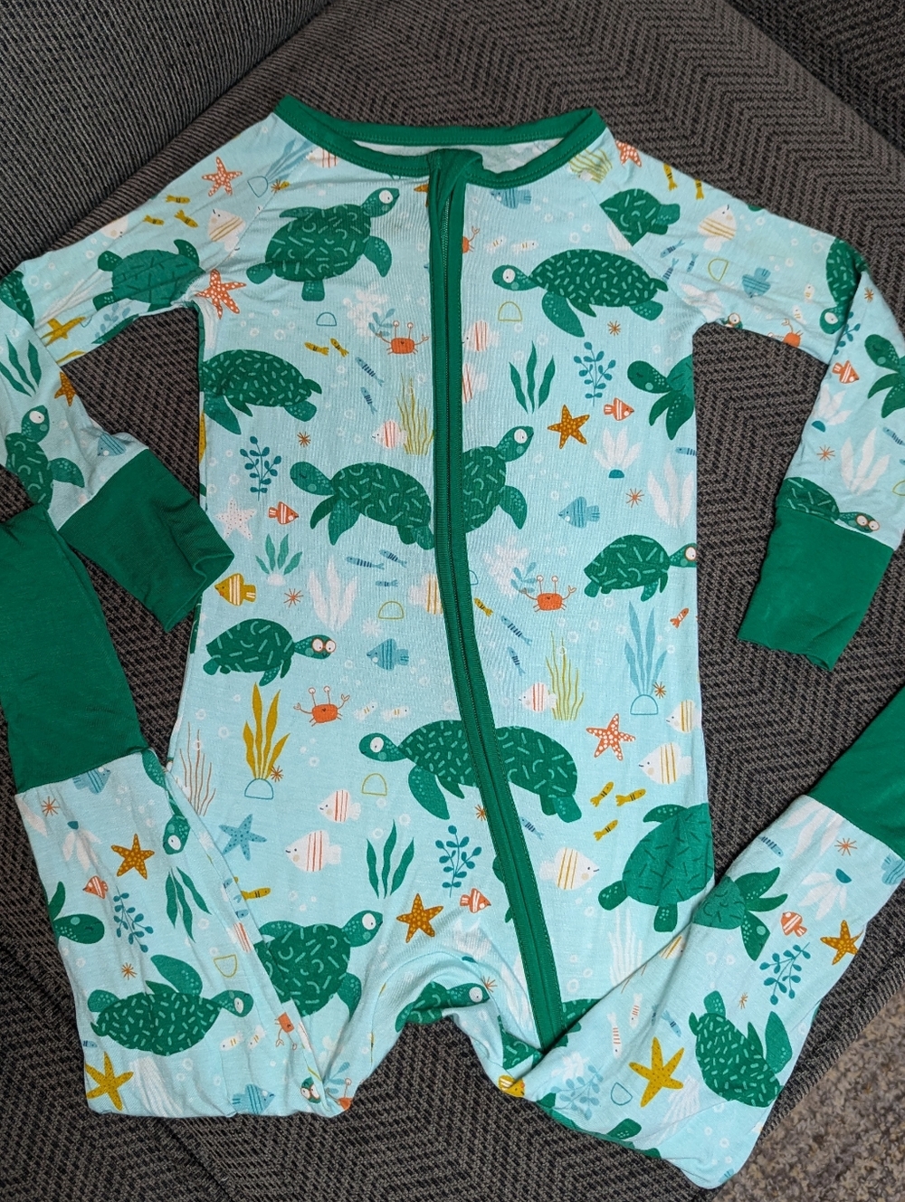 Little Sleepies Sea Turtle Zippy 2T
